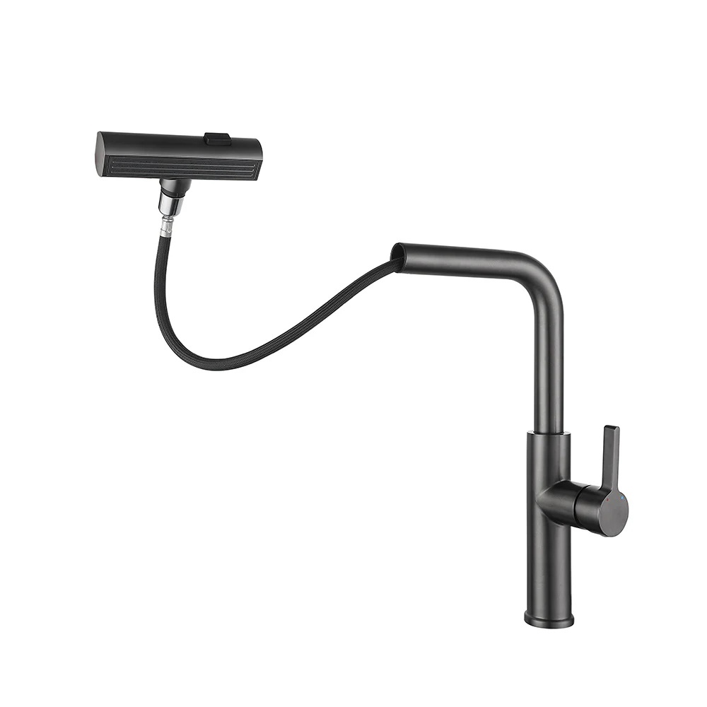 Kitchen Faucet